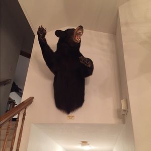 Meet your Posher, Matthew